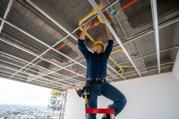 Best Clogged Drain Plumber  in Lewiston, UT